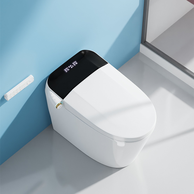 مرحاض ذكي للحمام مع نظام شطف ت - مراجعة Home Bathroom وسعره