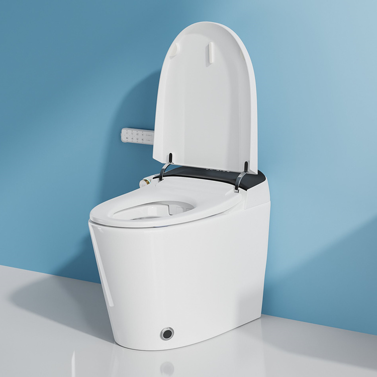 مرحاض ذكي للحمام مع نظام شطف ت - مراجعة Home Bathroom وسعره